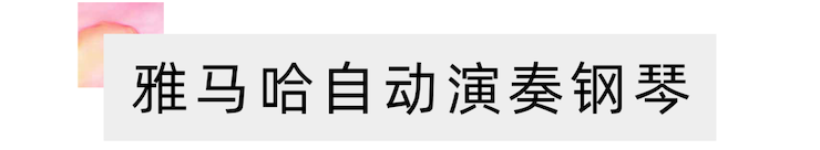 活动报道 | 远程艺术教育大师课活动—摩斯国际教育家崔岚大师课