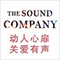 摩斯国际参展Music China 2013 